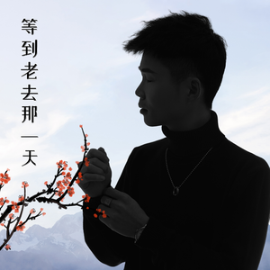 等到老去那一天（DJ彭锐版）