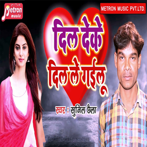 Dil Deke Dil Le Gailu