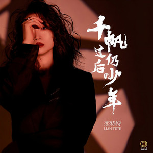 千帆过后仍少年 (Dj翊轩版)