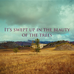 It's swept up in the beauty of the trees