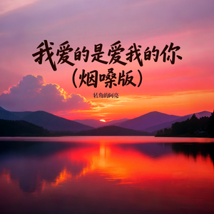 我爱的是爱我的你（烟嗓版）
