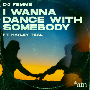I Wanna Dance with Somebody (feat. Hayley Teal) [Dj Fluke Extended Mix]