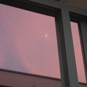 Promenading in Flying Petals 漫步趁风铃