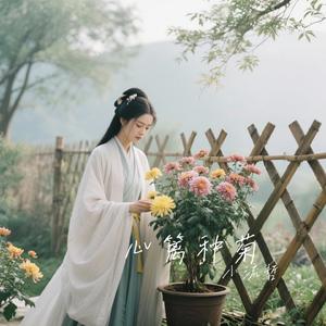 心篱种菊（Cover 乡村突击队）