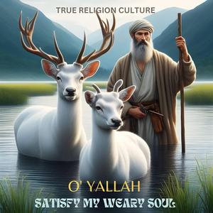 SATISFY MY WEARY SOUL (feat. KERAY)