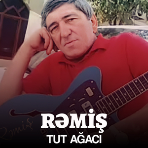 Tut Ağacı