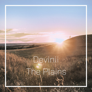 The Plains