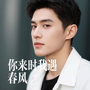 你来时我遇春风