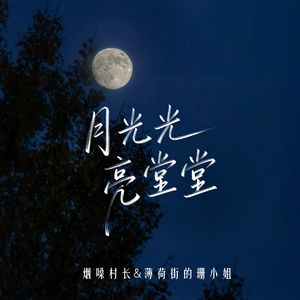 月光光亮堂堂