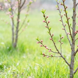 淋雨的人 (Cover 阿图表妹)