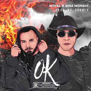 Ok (feat. sina monshi)