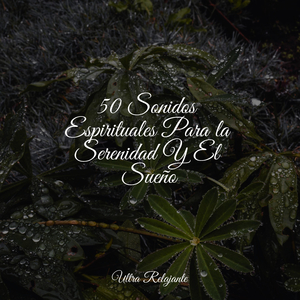 Horizontes Resplandecientes