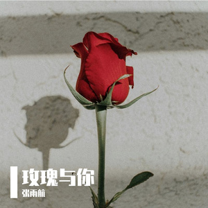 玫瑰与你(Prod by Thebest2024)