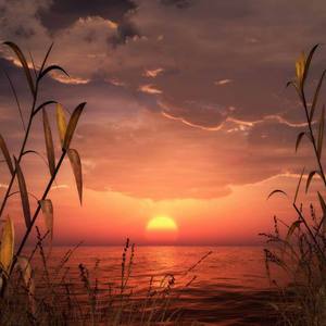 云烟成雨（Demo）