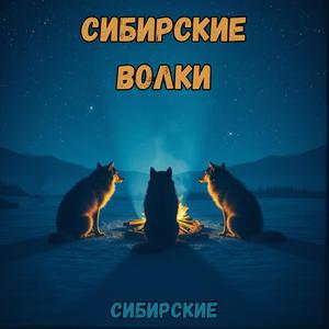Сибирские волки