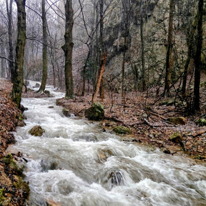 River