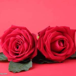 平凡的一天（毛不易）