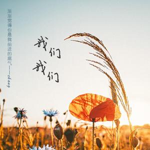 我们我们