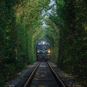 被风吹过的夏天-灵魂治愈者