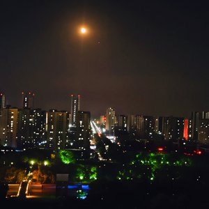 月色倒映在西湖(原版)_ㅤ_20251001_094252（翻自 Bluesky）