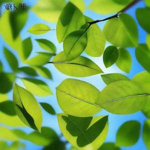 緑桜 -Ryokuo- (5th Anniversary Mix)