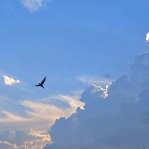 那天后（cover 花粥）