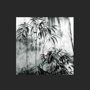 "竹语"中国风&RICHNOMADIC Type Beat