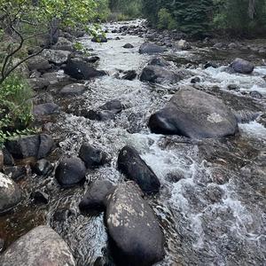 Forever Kind Of Crew (feat. bray.grace)