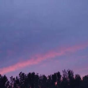 最长的旅途_A.关关