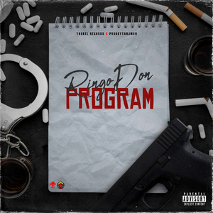 Program