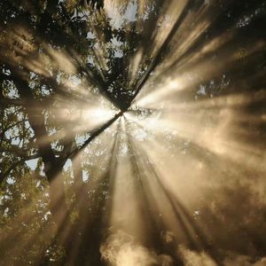 人间（男声版）