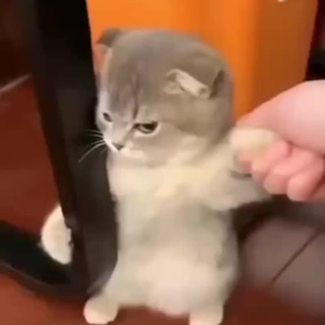 Remember Me (sped up)