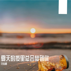 夏天的夜里总会梦到你