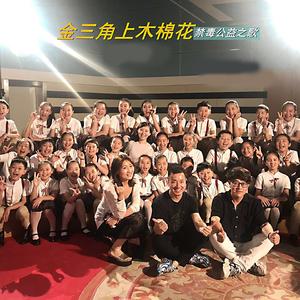 金山角上木棉花 (伴奏)