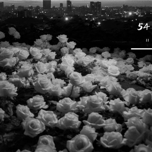 【free】"痛苦的吗喽" drill beat