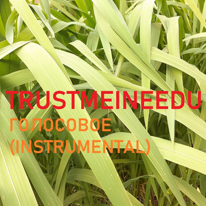 Голосовое (Instrumental)