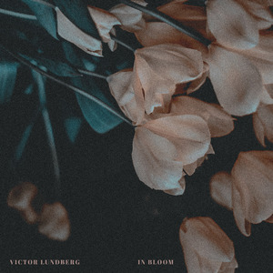 In Bloom (Instrumental Version)