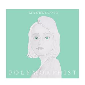 Macroscope (English Version) (English Version)