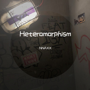 Heteromorphism