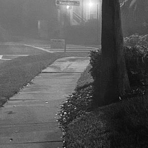 Smoke Sessions Freestyle