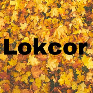 Lokcorious
