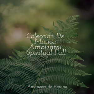 Serenata de Consuelo Oceánico