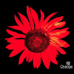 橙Orange