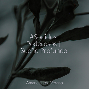 Maravillosos Misterios Revelados