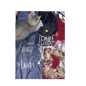 Temible