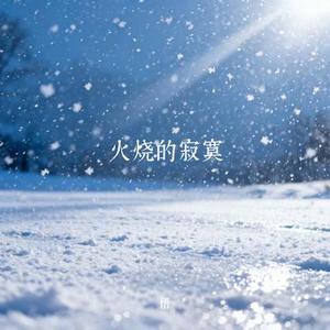 火烧的寂寞 (悟 Remix)
