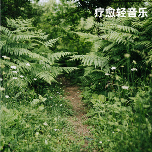 轻风丨放松吉他纯音乐