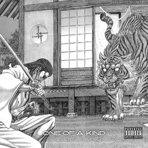 One of a kind (feat. Suleman & Auro)