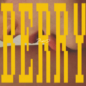 李佳隆-BERRY（psyk1d remix）