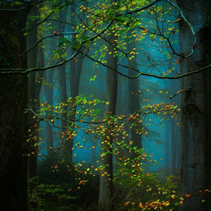 Jj Sa Kajili Jili, Vol. 2